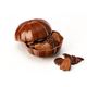 Grande citrouille lait