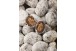 LES DELICE DU PANDA ROUX AU SUCRE GLACE 150 G