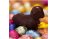 Agneau praliné 50g 