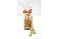 Friture sèche de noël assortis lait, noir, blanc 