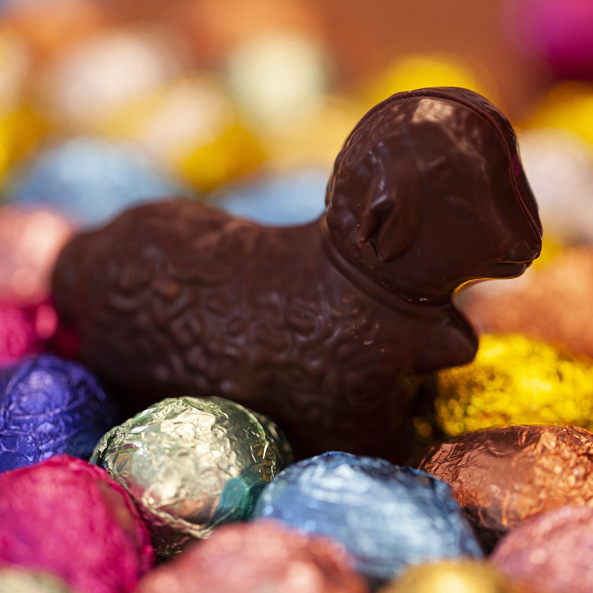 Agneau praliné - Lait