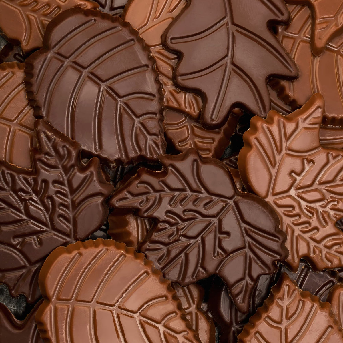 Feuilles d'automne